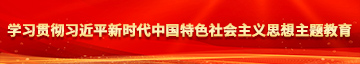 大鸡巴操逼视频中文字幕学习贯彻习近平新时代中国特色社会主义思想主题教育